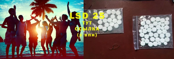 индика Горняк