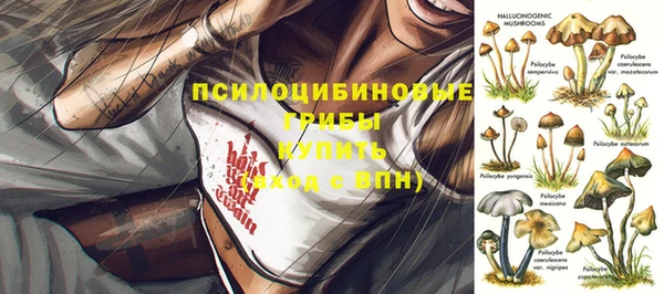индика Горняк