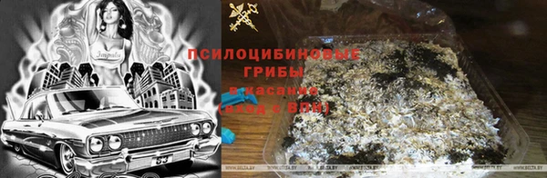 дмт Вязьма