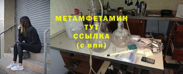 индика Горняк